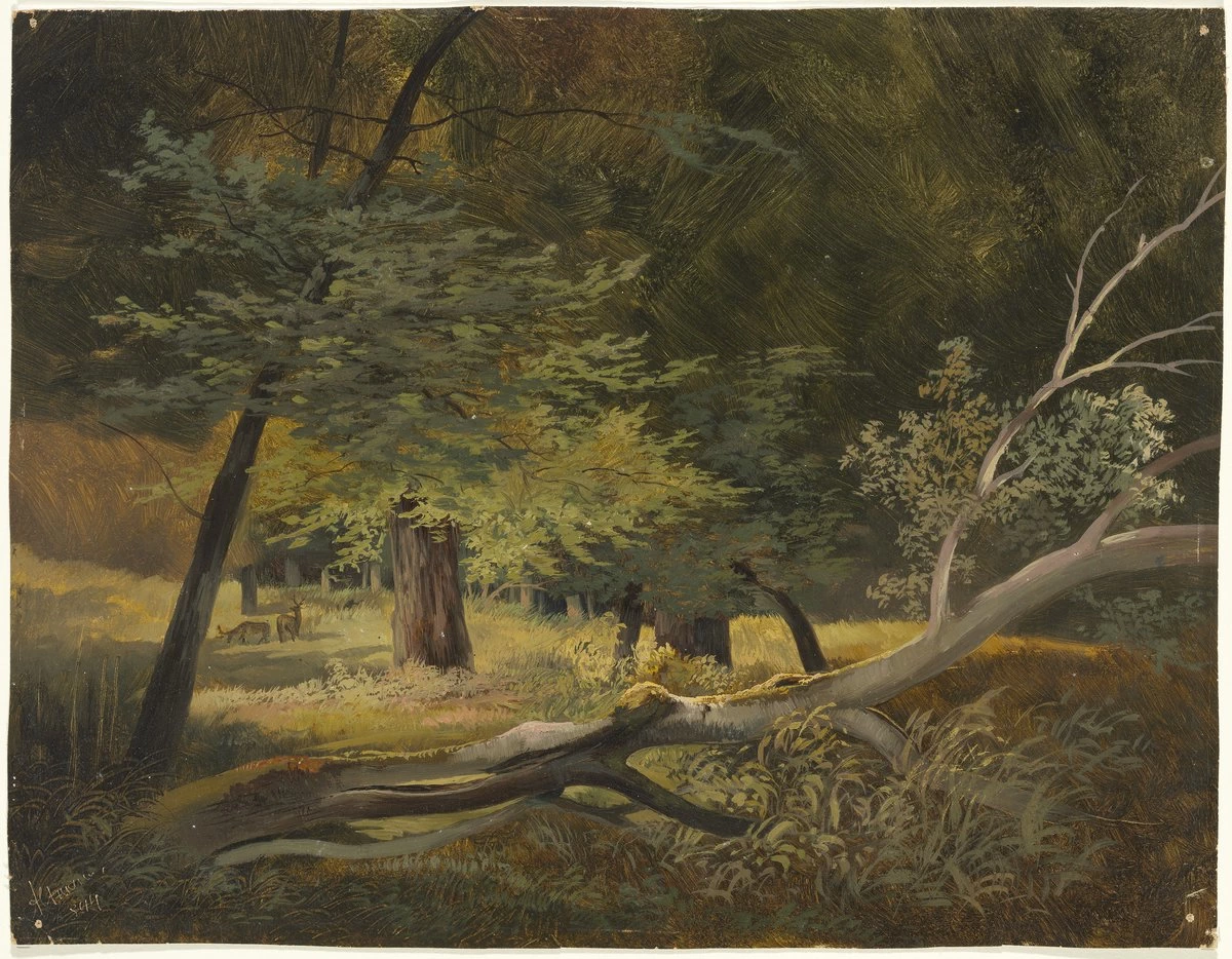 Paesaggio forestale - Museum of Fine Arts, Budapest